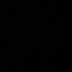 Meet your Posher, Dane